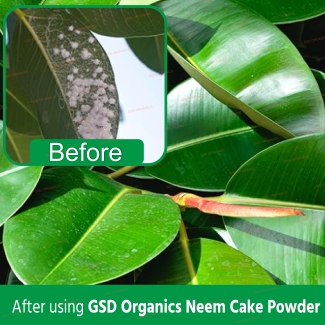 organic-neem-cake-fertilizer-3