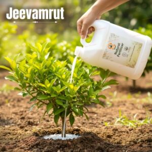 Organic Jeevamrut Plant Tonic | Liquid Plant Booster - 1 L