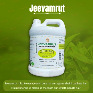 organic-jeevamrut-bio-fertilizer-3
